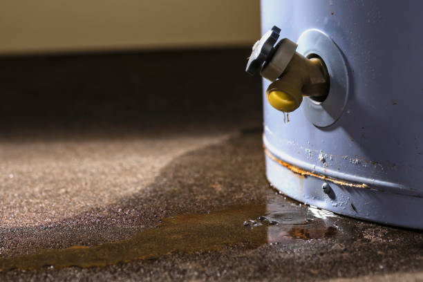 Best Fire Damage Restoration  in Oswego, NY