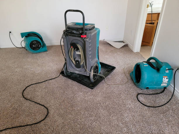Best Water damage repair service  in Oswego, NY