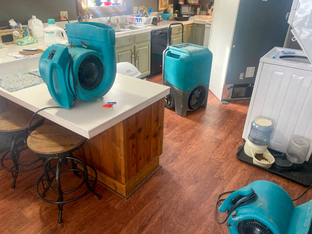Best 24/7 water damage repair  in Oswego, NY