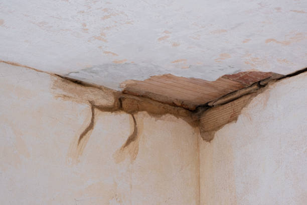 Best Commercial water damage restoration  in Oswego, NY