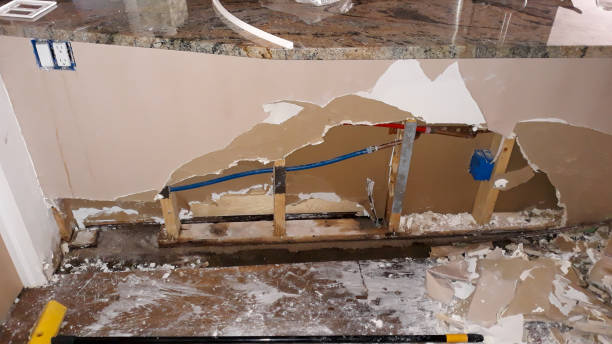 Best Mold removal after water damage  in Oswego, NY
