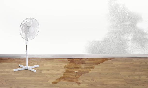 Best Water damage restoration process  in Oswego, NY