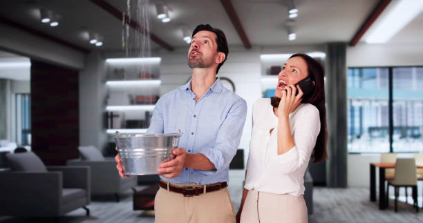 Best Professional water damage repair  in Oswego, NY