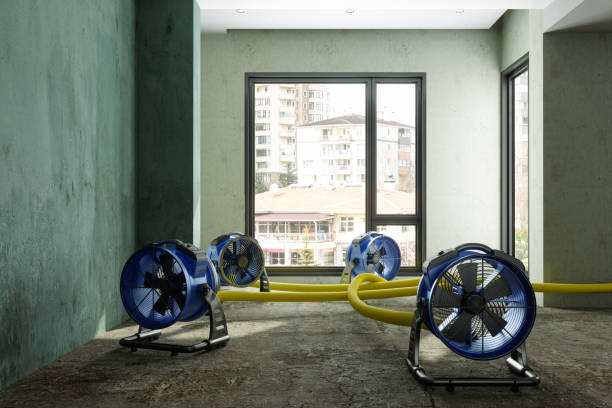 Best Local water damage restoration  in Oswego, NY