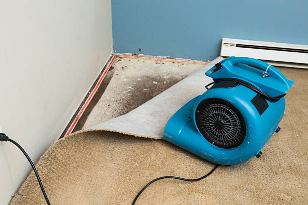 Best Carpet water damage restoration  in Oswego, NY